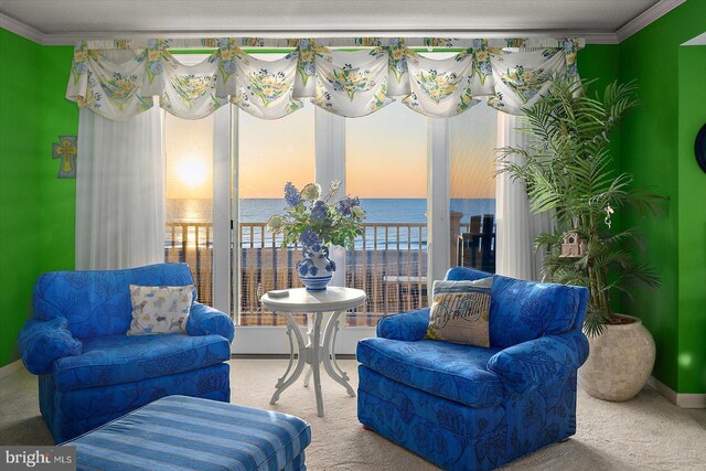 12201 Wight St Unit 301, Ocean City, MD 21842 - sunroom / solarium with a water view
