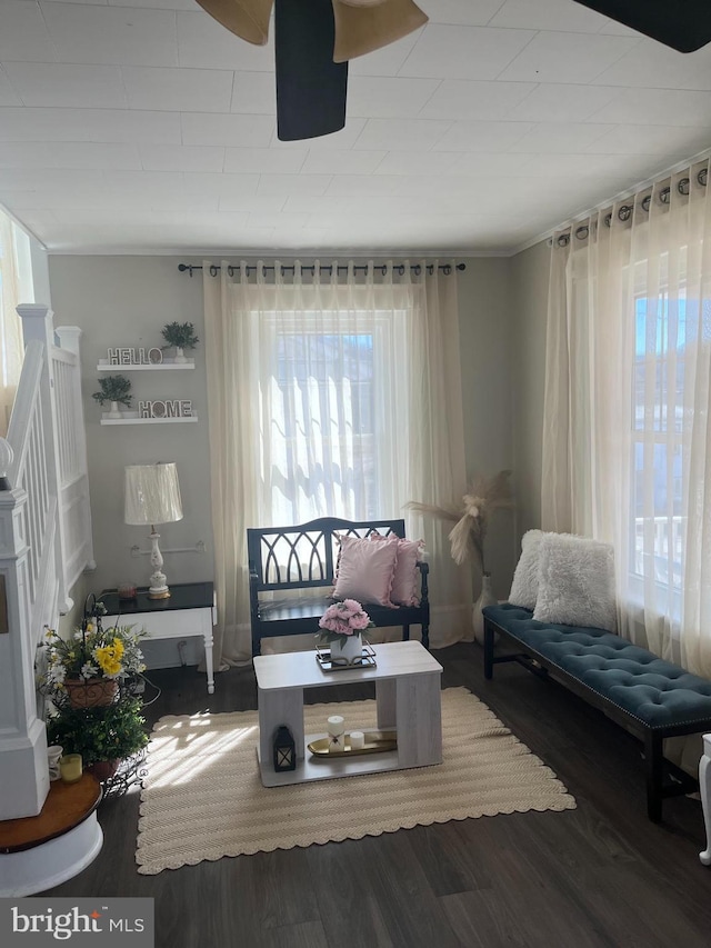 sitting room with ceiling fan and wood finished floors