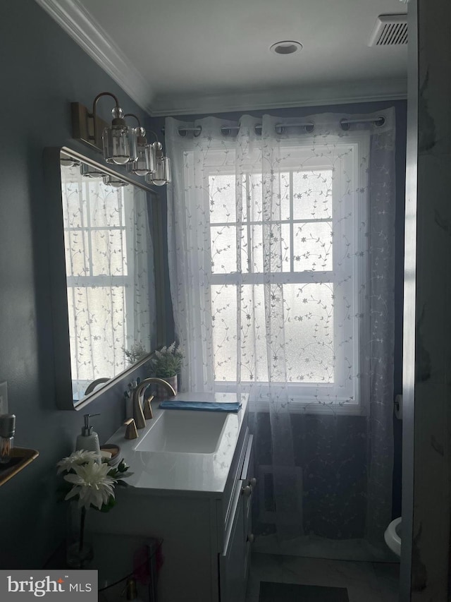 bathroom featuring a wealth of natural light, vanity, and crown molding