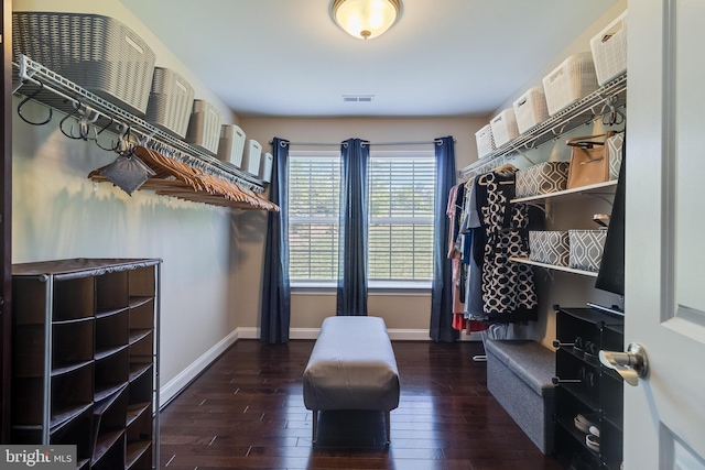 spacious closet featuring visible vents and hardwood / wood-style floors