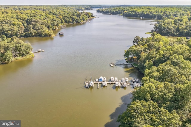 drone / aerial view with a wooded view and a water view