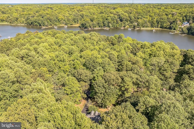 bird's eye view featuring a water view and a forest view