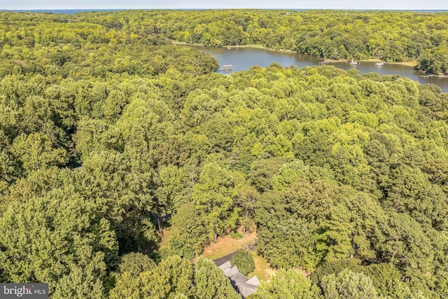 birds eye view of property featuring a water view and a view of trees