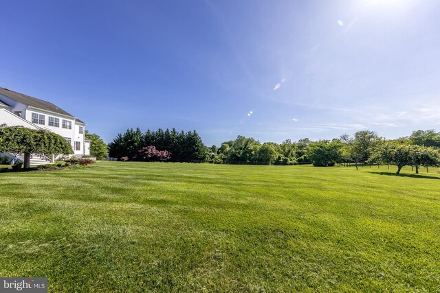 view of green lawn