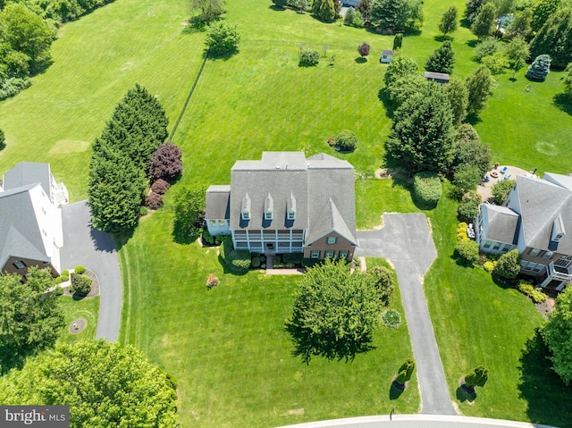 drone / aerial view