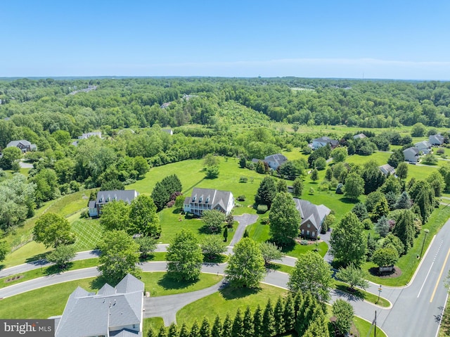 bird's eye view of a forest