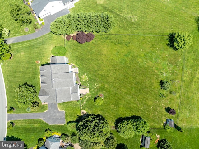 bird's eye view