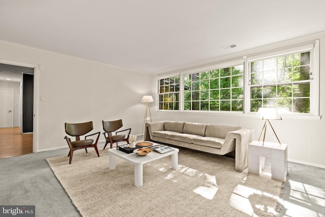 2646 S June St, Arlington, VA 22202 - living area with plenty of natural light, carpet flooring, ornamental molding, and baseboards