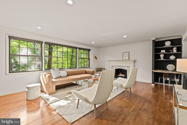2646 S June St, Arlington, VA 22202 - living area with ornamental molding, baseboards, wood finished floors, a premium fireplace, and recessed lighting