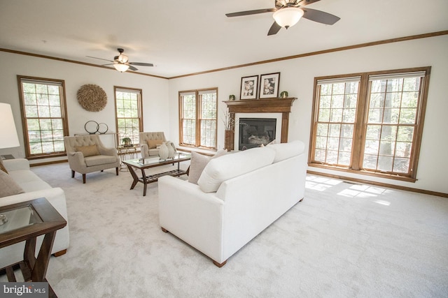 carpeted living area featuring crown molding, a ceiling fan, and a glass covered fireplace
