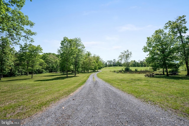 246 Locust Ln, Edinburg, VA 22824 - view of road