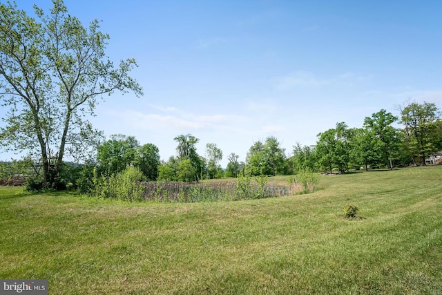 246 Locust Ln, Edinburg, VA 22824 - view of yard