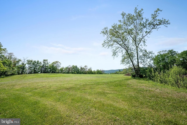 246 Locust Ln, Edinburg, VA 22824 - view of yard