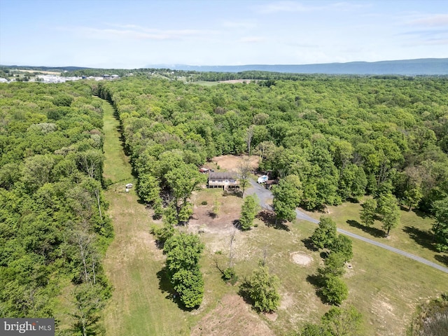 246 Locust Ln, Edinburg, VA 22824 - aerial view featuring a wooded view