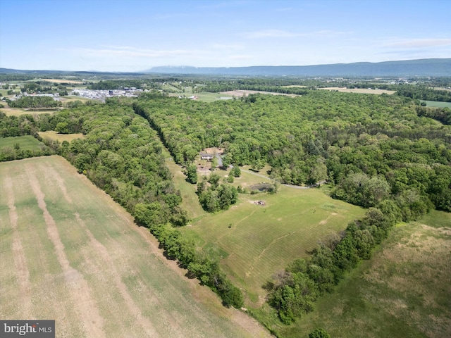 246 Locust Ln, Edinburg, VA 22824 - aerial view