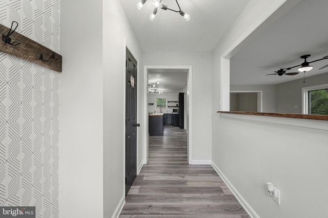 246 Locust Ln, Edinburg, VA 22824 - hall featuring wood finished floors and baseboards