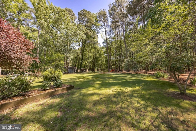 26547 Old State Rd, Crisfield, MD 21817 - view of green lawn