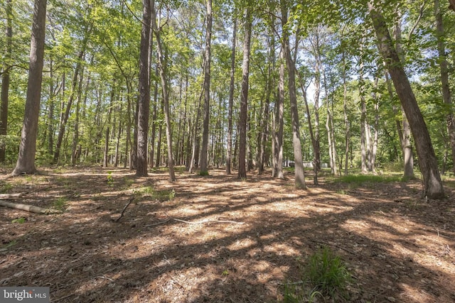 26547 Old State Rd, Crisfield, MD 21817 - view of woods