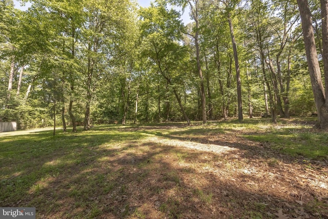 26547 Old State Rd, Crisfield, MD 21817 - view of yard with a wooded view