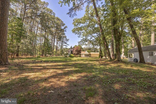 26547 Old State Rd, Crisfield, MD 21817 - view of green lawn