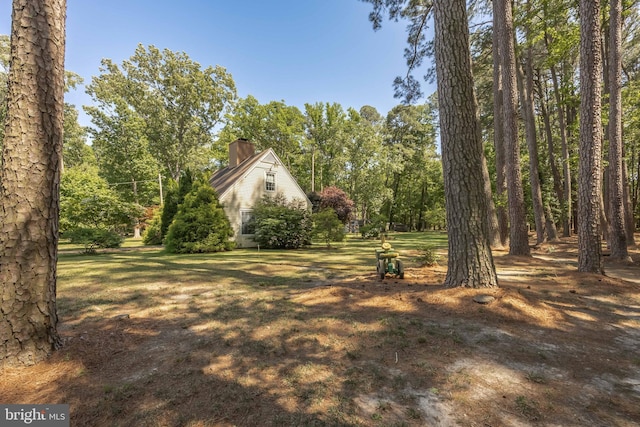 26547 Old State Rd, Crisfield, MD 21817 - view of yard