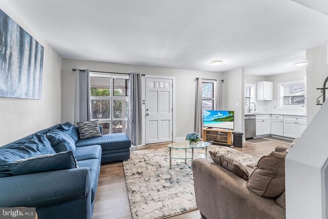 living area featuring light wood finished floors