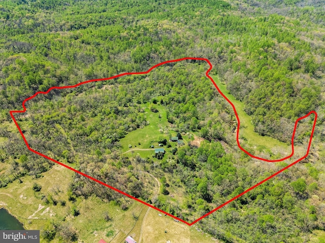 bird's eye view with a forest view