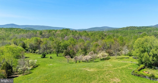 property view of mountains featuring a view of trees