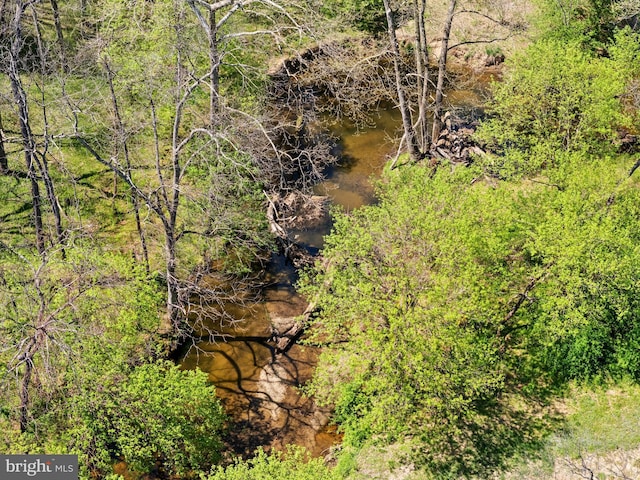 view of nature
