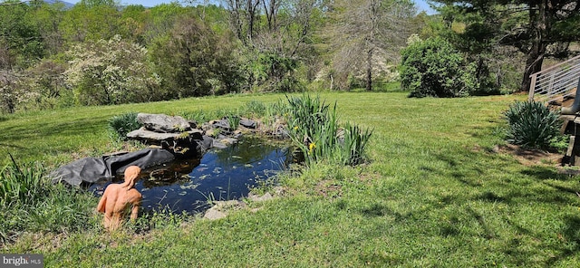 view of yard featuring a forest view