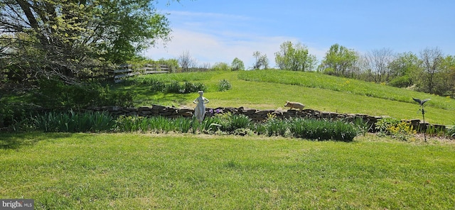 view of yard
