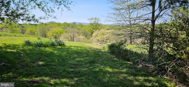 view of local wilderness with a wooded view