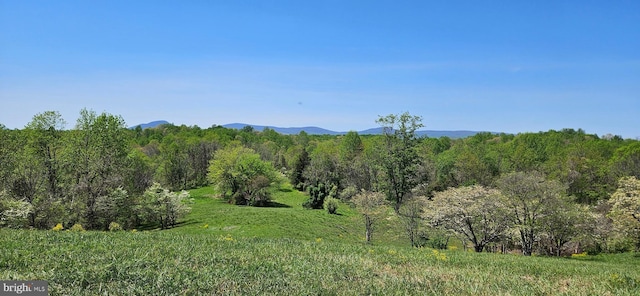 view of landscape featuring a view of trees and a mountain view