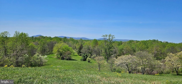 property view of mountains with a view of trees