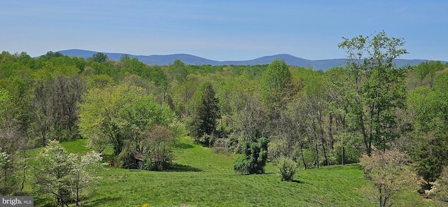 view of mountain feature with a wooded view