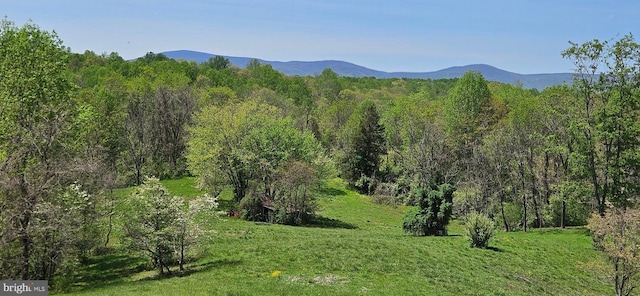 view of mountain feature with a view of trees