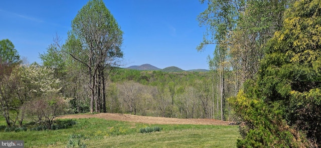 property view of mountains with a forest view