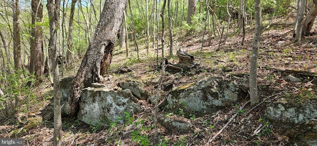 view of nature