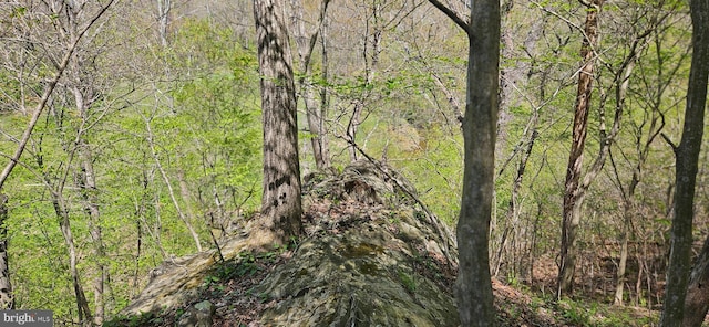 view of local wilderness featuring a forest view