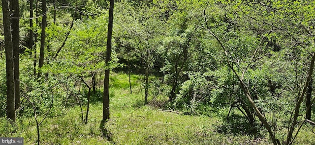 view of landscape