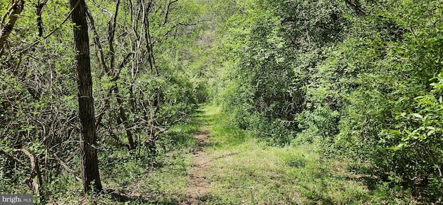 view of landscape with a view of trees