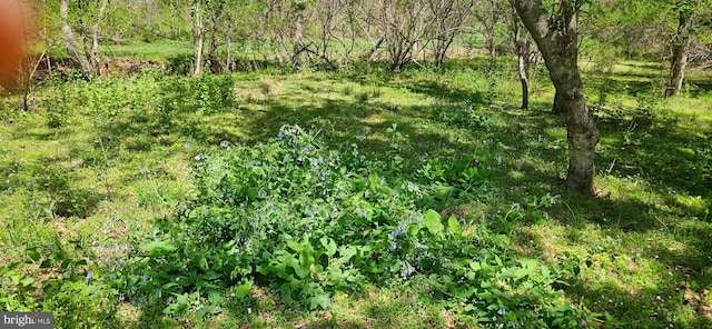 view of landscape
