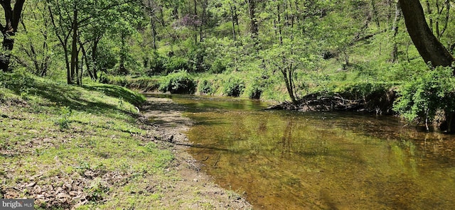 view of local wilderness