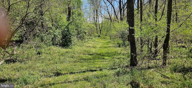 view of nature
