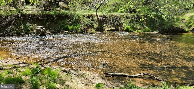 view of local wilderness