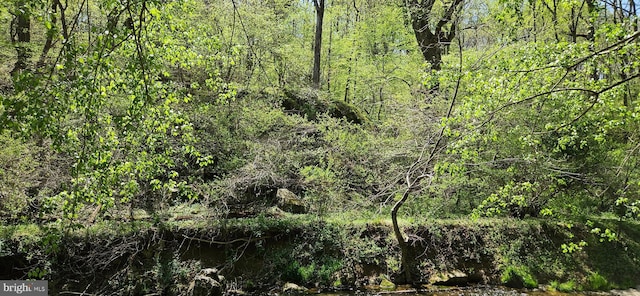 view of local wilderness