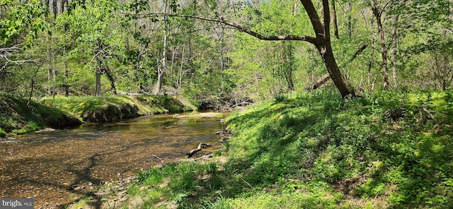 view of nature featuring a view of trees