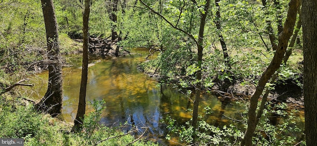 property view of water with a view of trees