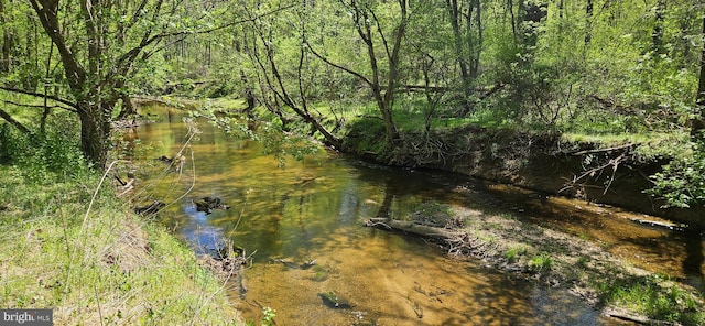 view of nature