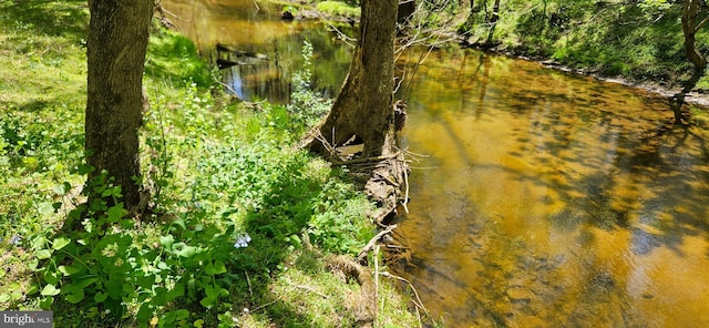 view of nature
